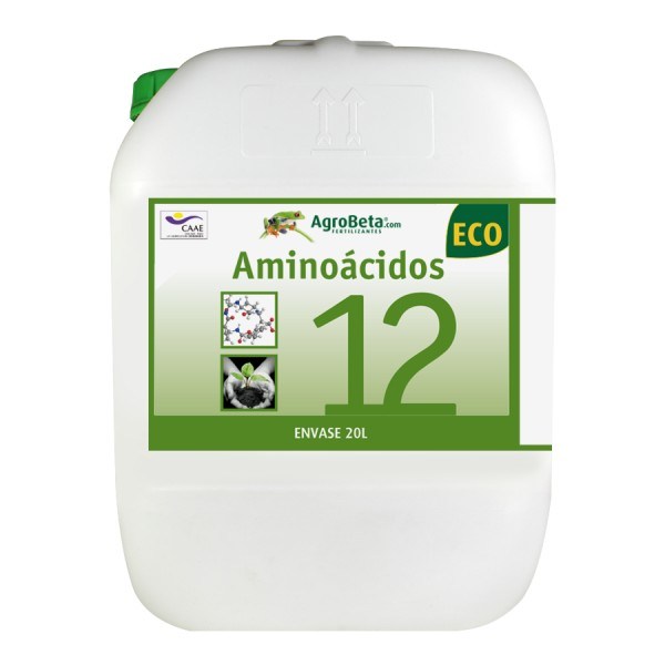 aminoacidos 12 20